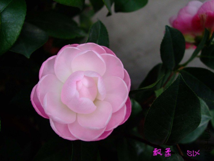 Ʈ�� 10-2-28f (2).jpg