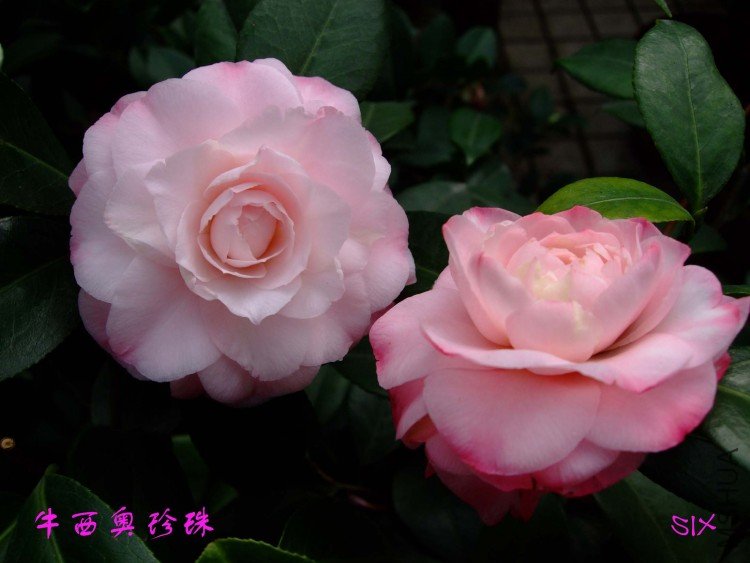 ţ��������  10-2-28f (1).jpg