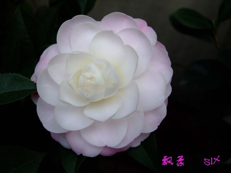 Ʈ�� 10-2-28f (4).jpg