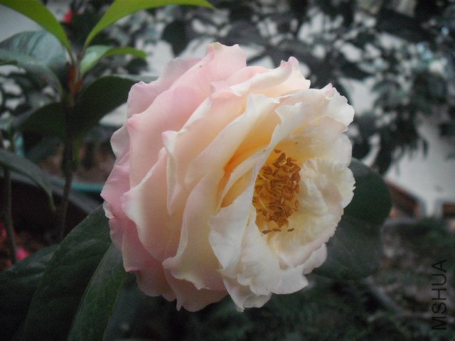 ȫ����Ҳ�������ֻ���������ͻ�����Щ