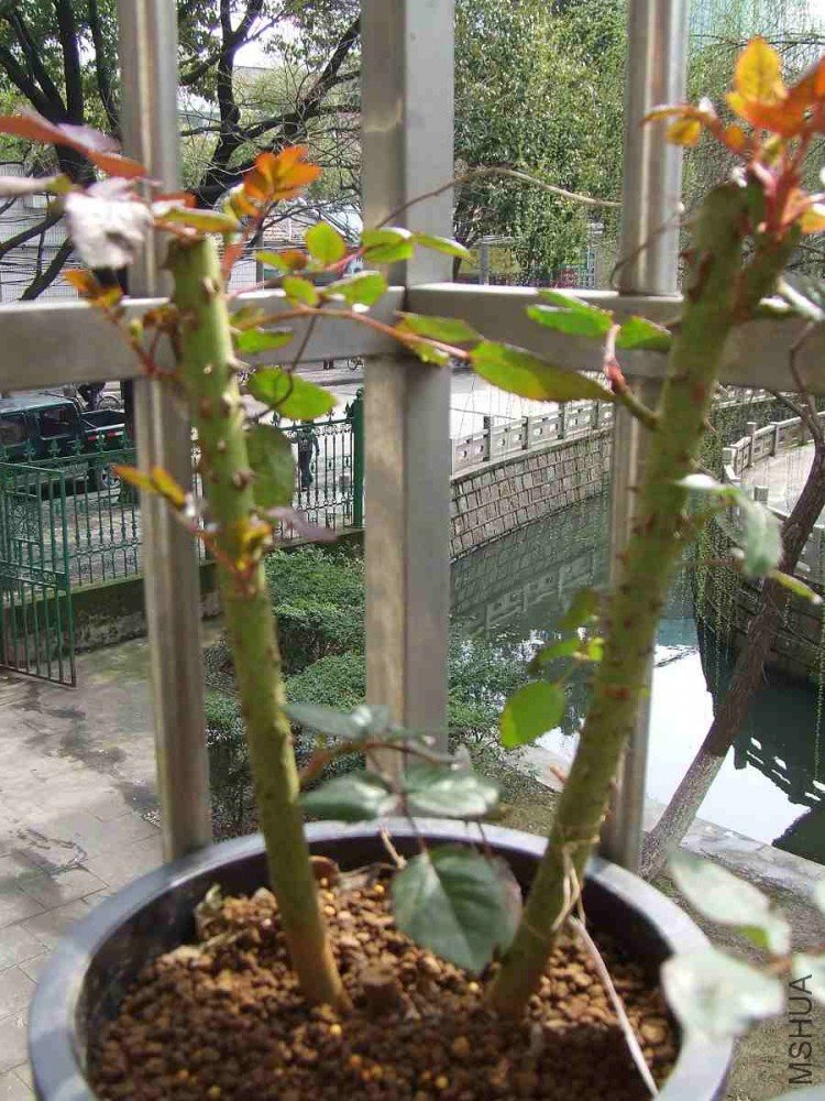 DSCF5476.JPG