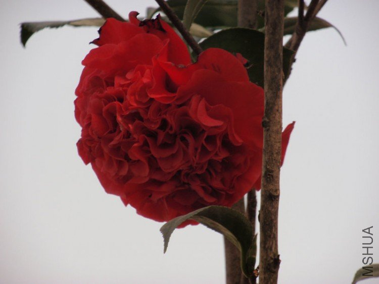 ���úã���ϲ����ȴ��֪��