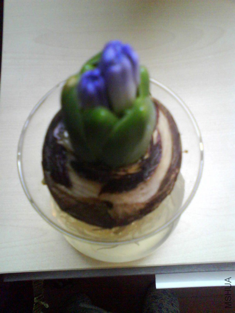 ��Ƭ0021.jpg