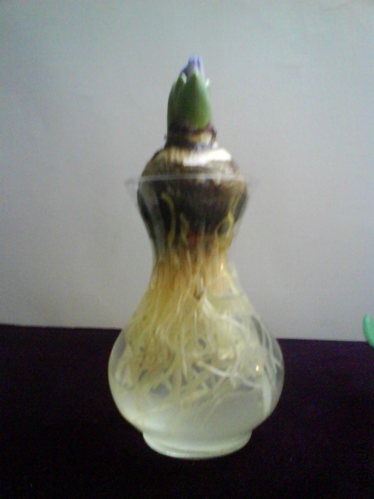 ��Ƭ0022.jpg