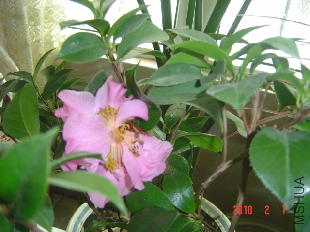 NO.2