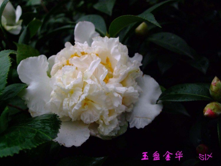 ���̽� 10-3-1(1).jpg