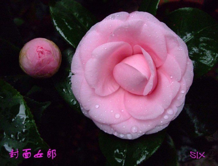 ����Ů�� 10-3-1(3).jpg