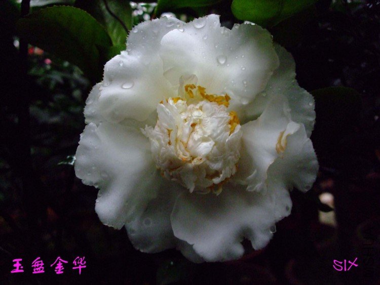 ���̽� 10-3-1 (2).jpg