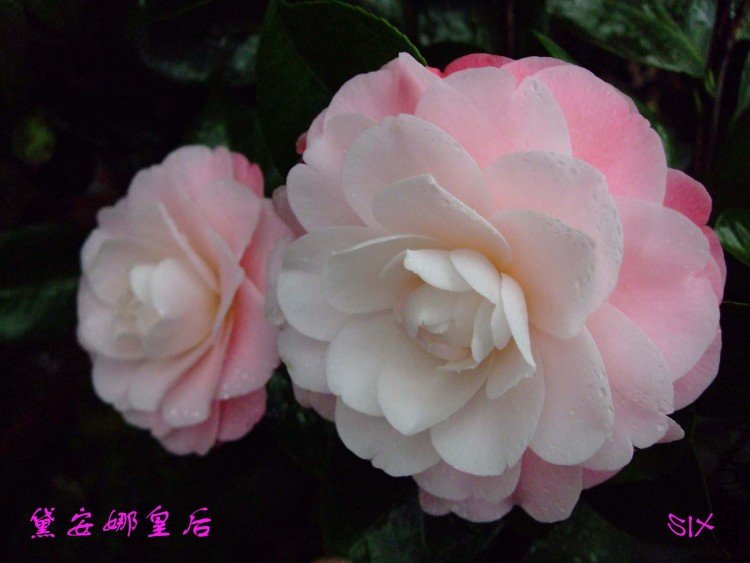 �찲�Ȼʺ� 10-3-1(1).jpg