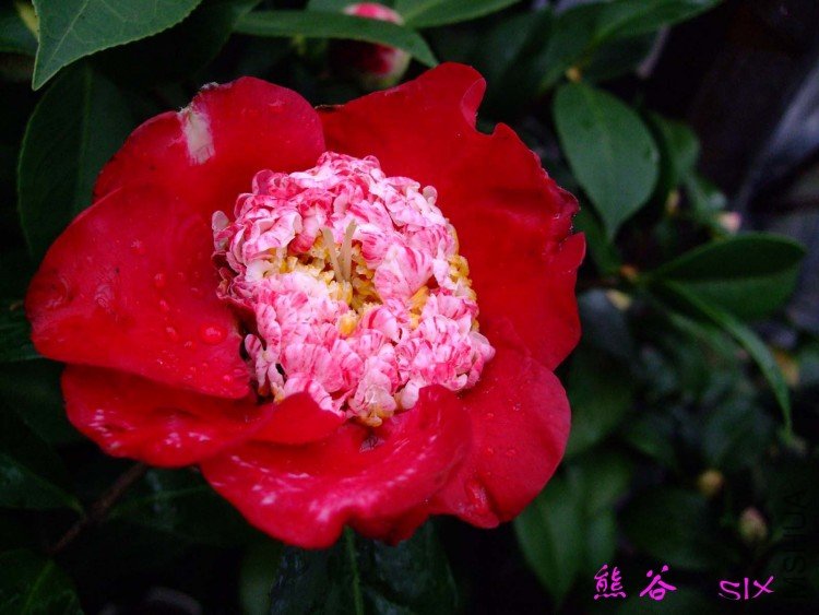 �ܹ�  10-3-1 (3).jpg