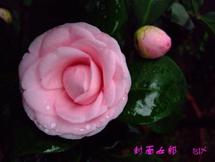 ����Ů�� 10-3-1(1).jpg