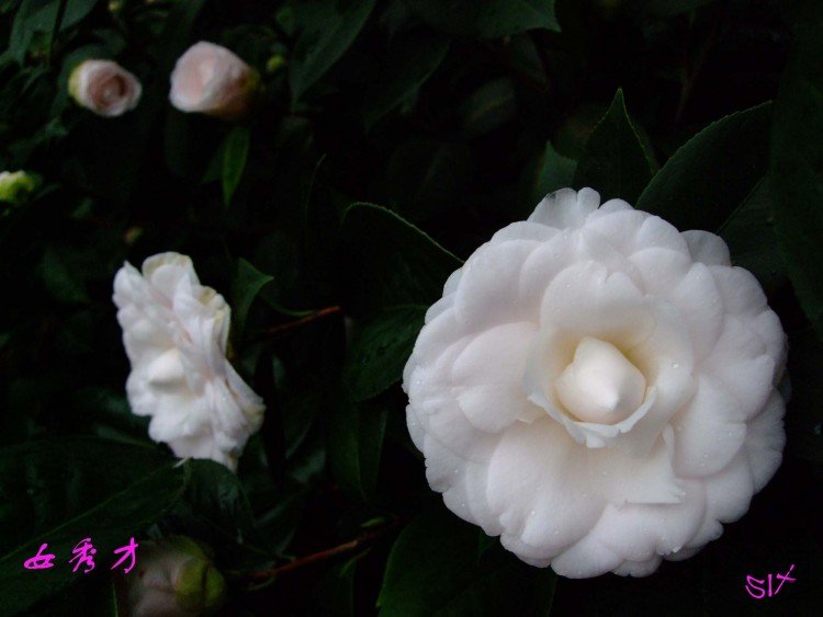 Ů���  10-3-1(1).jpg