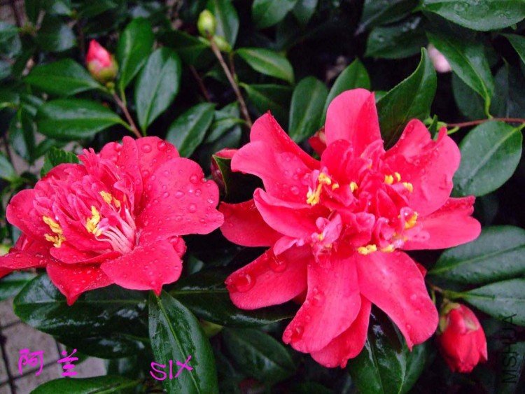 ����  10-3-1(2).jpg