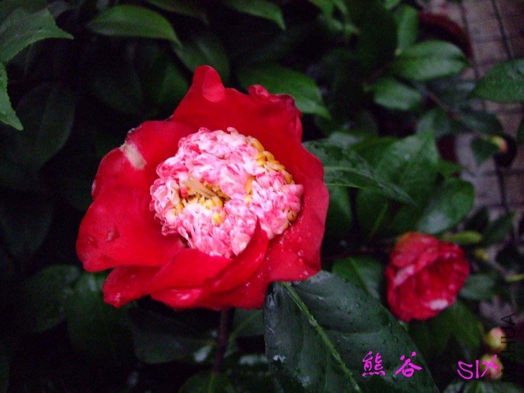 �ܹ�  10-3-1(1).jpg