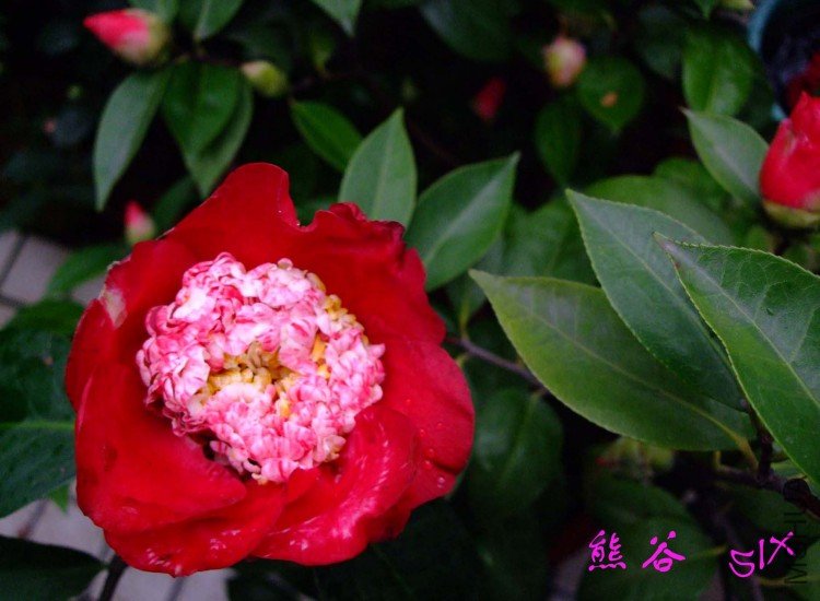 �ܹ�  10-3-1 (2).jpg