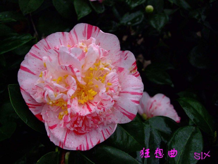 ������ 10-3-1(1).jpg