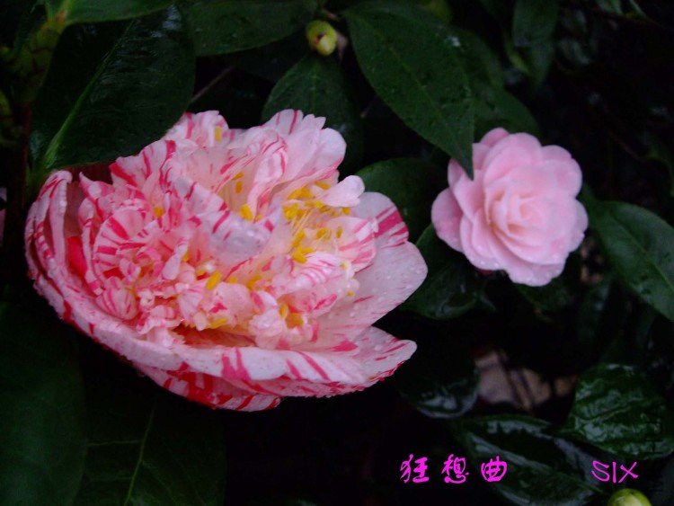 ������ 10-3-1 (2).jpg