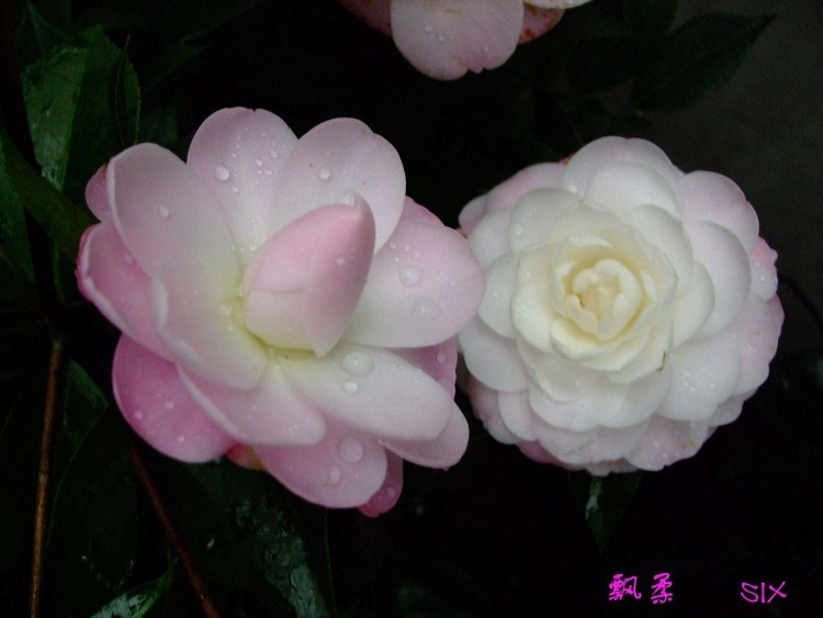 Ʈ�� 10-3-1(1).jpg