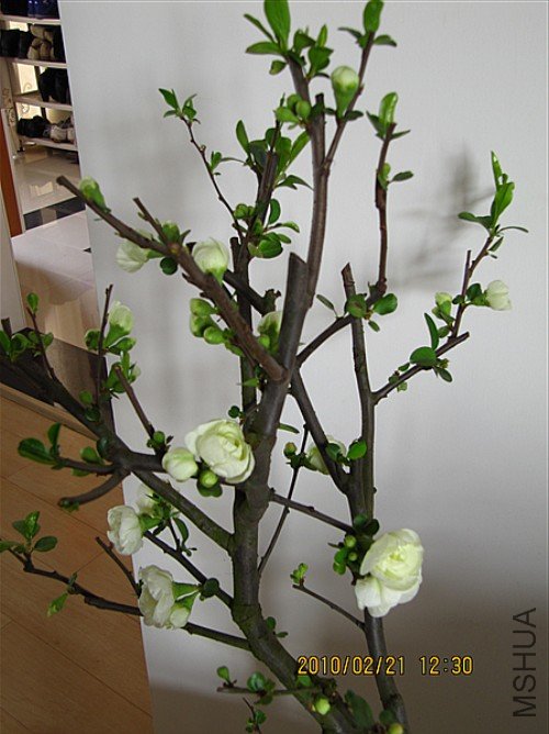 ��Ƭ 019_����.jpg
