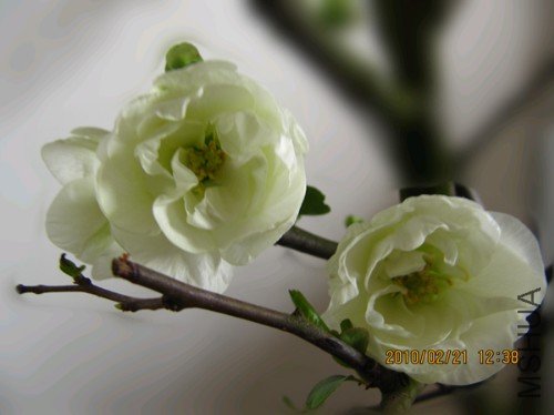 ��Ƭ 027_����.jpg