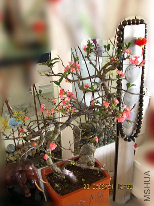 ��Ƭ 020_����.jpg