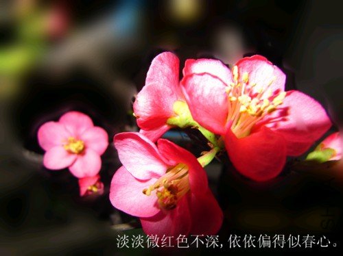 ��Ƭ 022_����.jpg