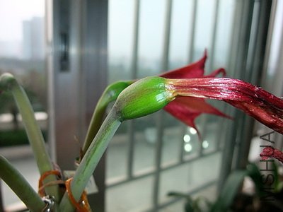 ��Ƭ 2751(400).jpg