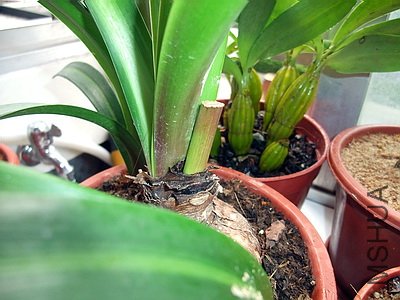 ��Ƭ 2756(400).jpg