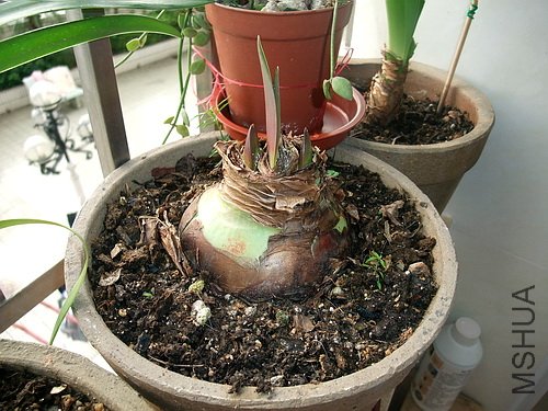 ��Ƭ 2759(500).jpg
