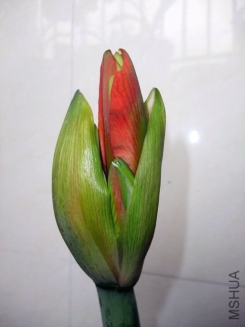 ��Ƭ 2635(500).jpg