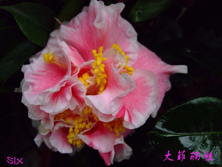 �����˿ 10-3-2(1).jpg