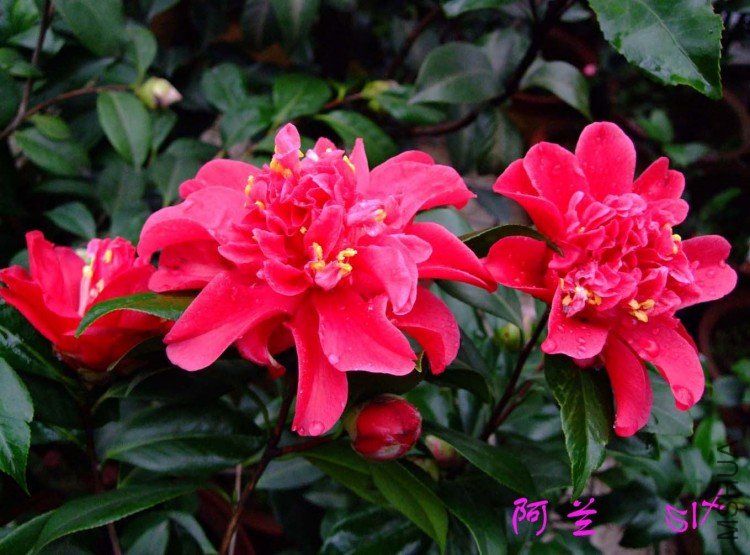 ����  10-3-2(1).jpg