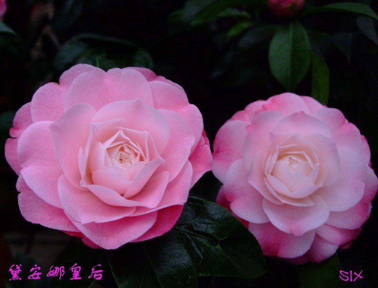 �찲�Ȼʺ� 10-3-2(1).jpg