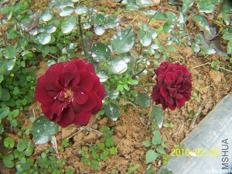 100_8669.jpg