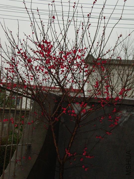 DSC00206.JPG