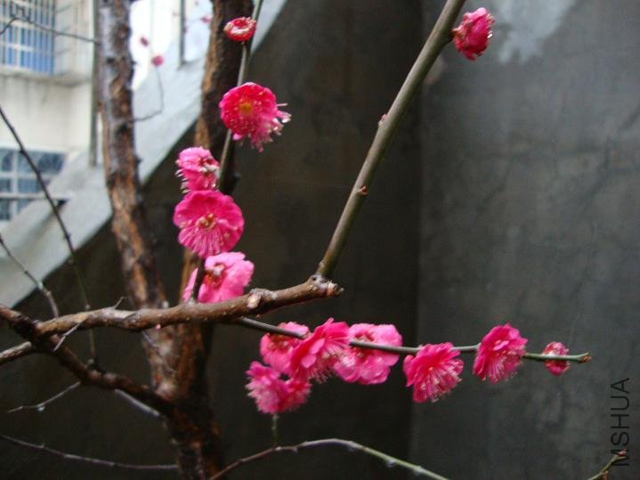 DSC00213.JPG