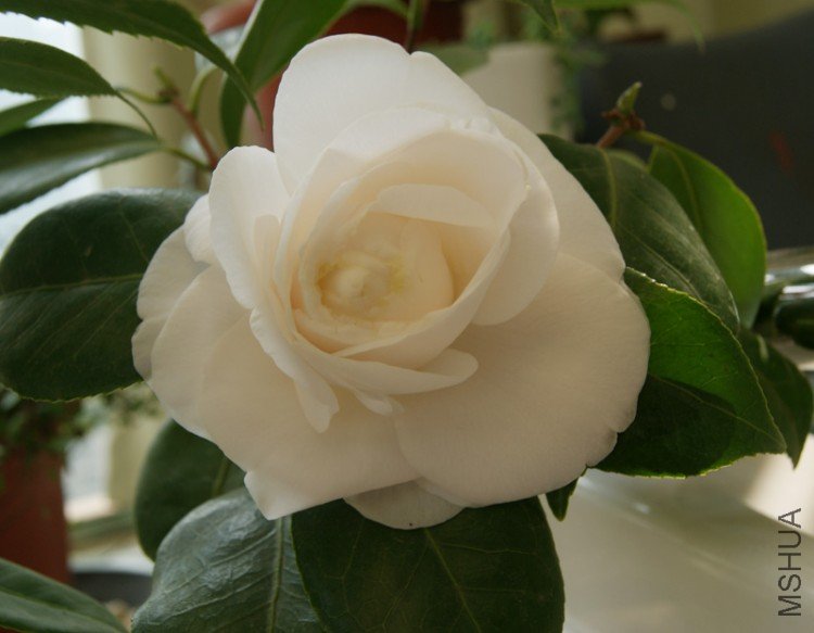 DSC01327.JPG