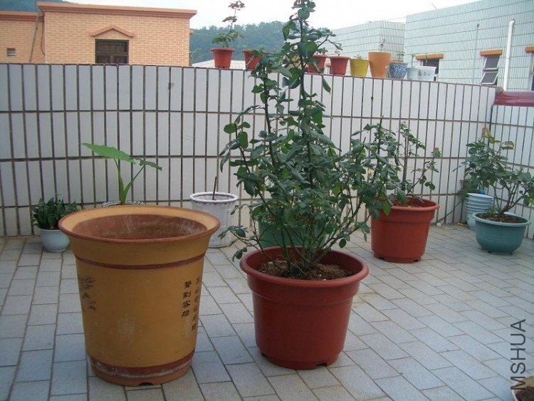 ���ܺ�֩���˺�������ѿ���¼�.JPG