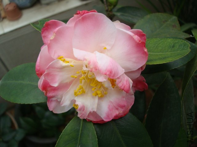 DSC09471.JPG