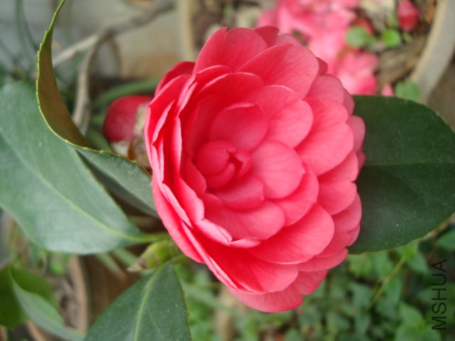DSC09605.JPG
