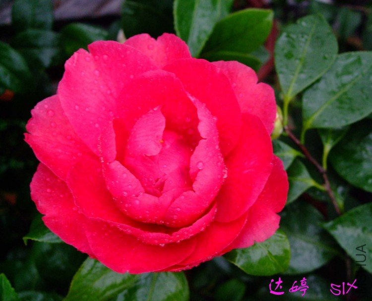 ���� 10-3-3.jpg