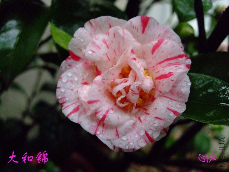 ��ͽ� 10-3-3.jpg