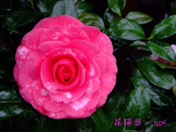 ����ɪ  10-3-3.jpg