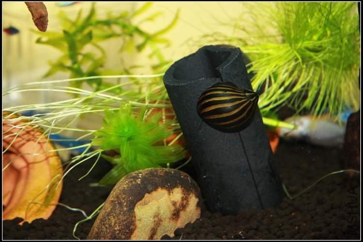 41���ݣ���๤.jpg