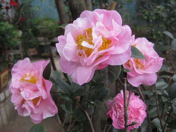 ���� 021.jpg