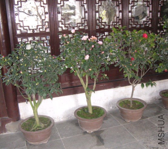 Image00014.jpg