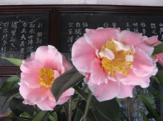 Image00006.jpg