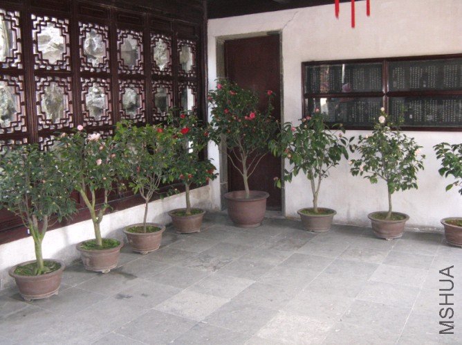 Image00012.jpg