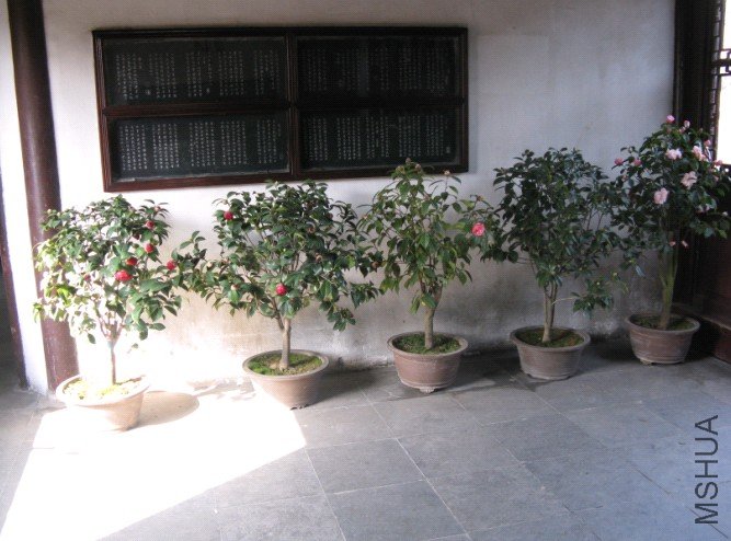 Image00013.jpg