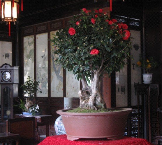Image00002.jpg